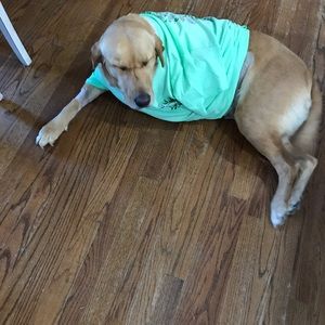 Meet your Posher, Lanette